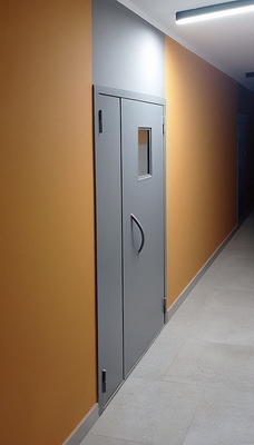 Дверь с ручкой-скобой