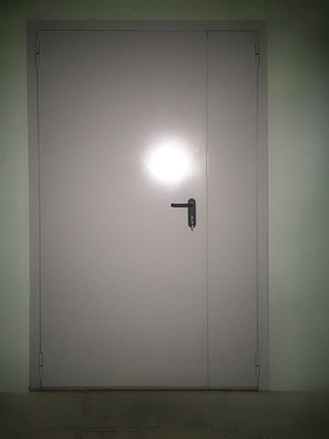 Глухая полуторная дверь Глухая полуторная дверь